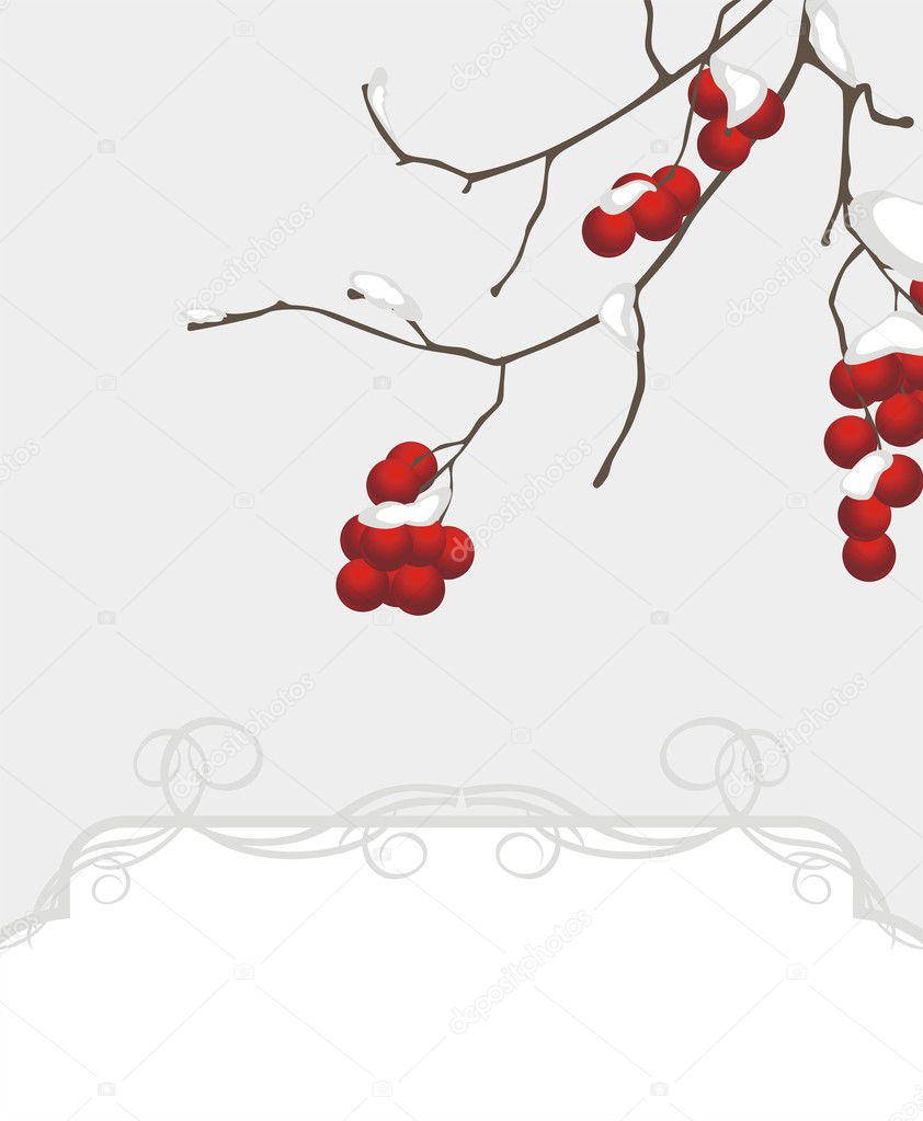 Rowan branch in the snow. Decorative background