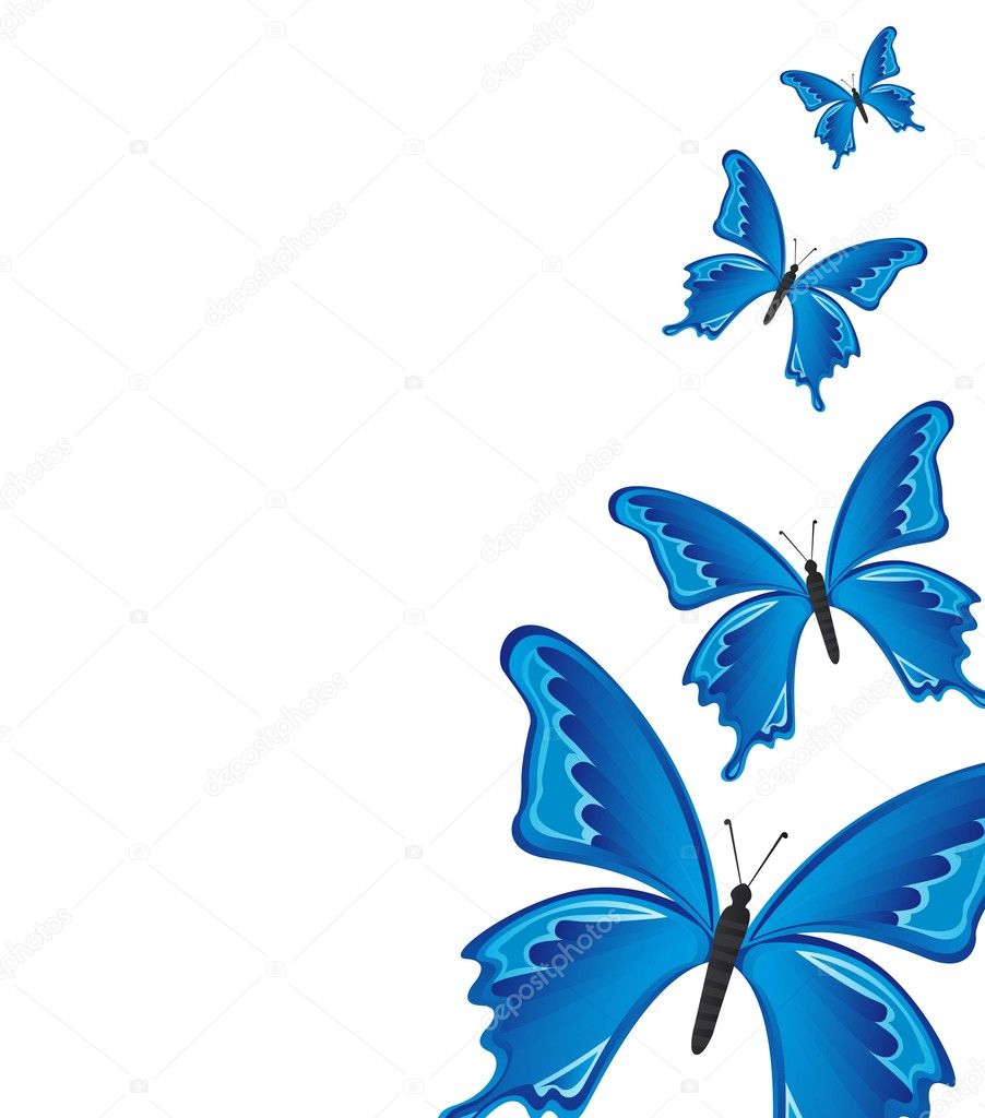 blue buterflies