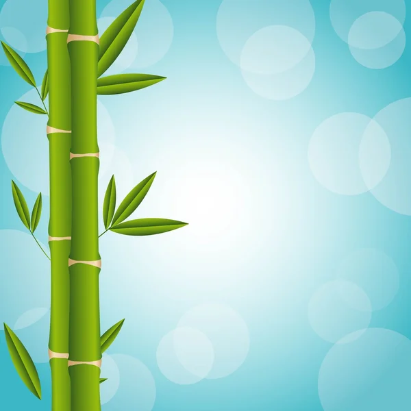 Bambus — Stockvektor