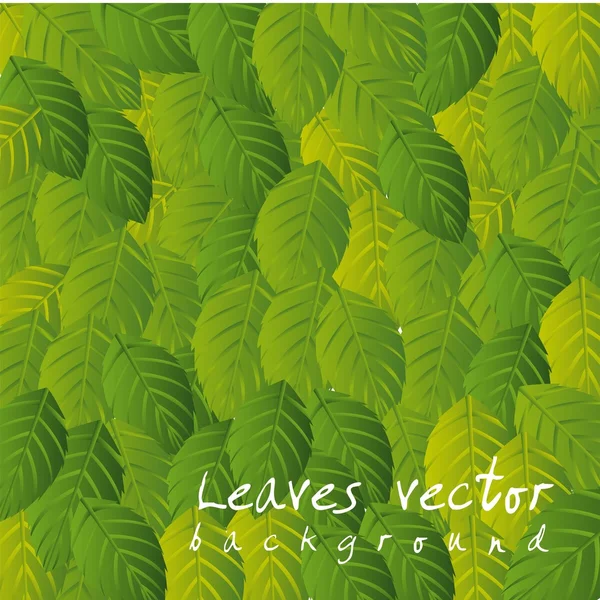 Levél vektor — Stock Vector