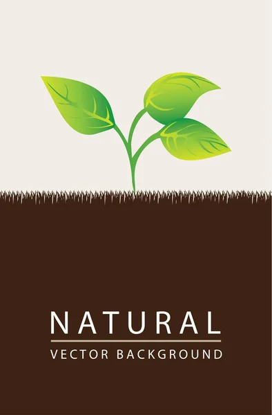 Natural background — Stock Vector