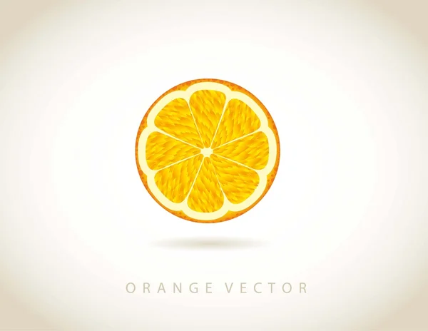 オレンジベクトル — ストックベクタ