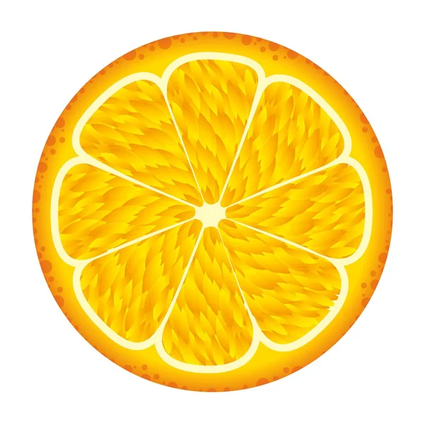 Fruta naranja — Archivo Imágenes Vectoriales