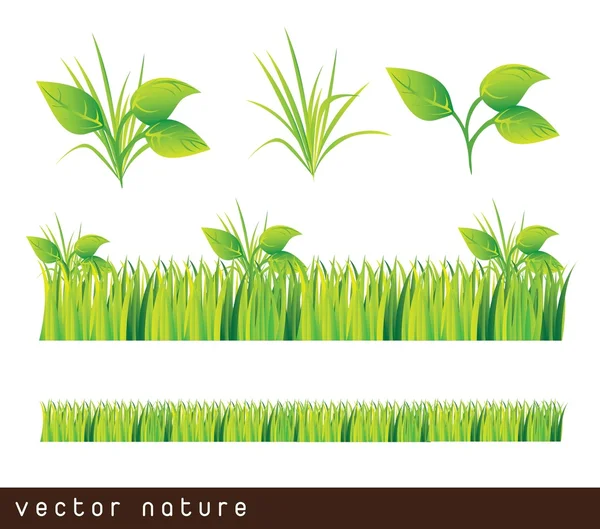 Листья и трава — стоковый вектор