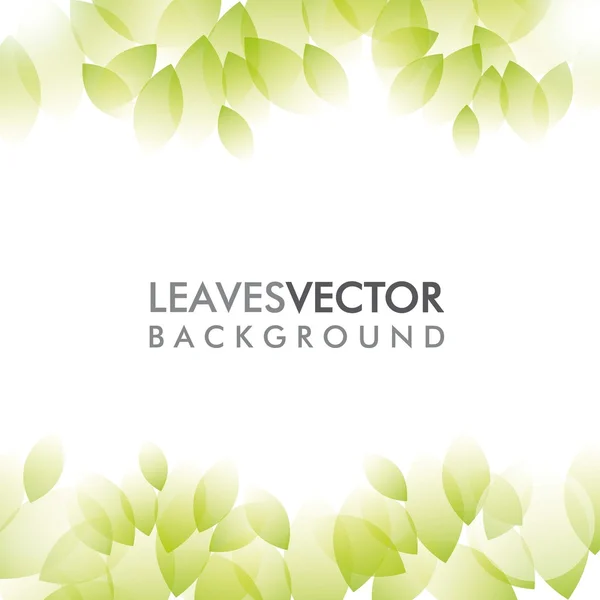 Levelek — Stock Vector