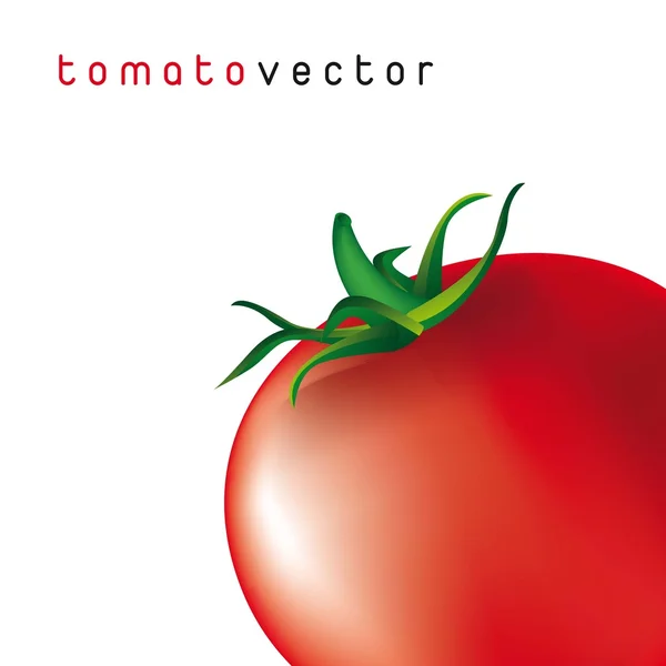 Tomaat vector — Stockvector