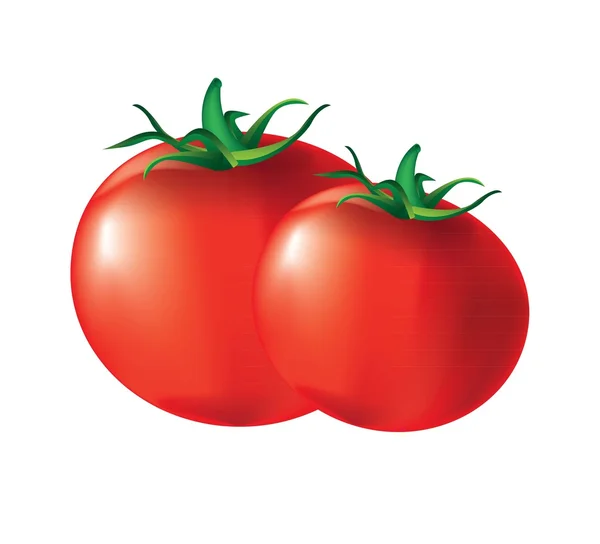 Tomates — Vector de stock