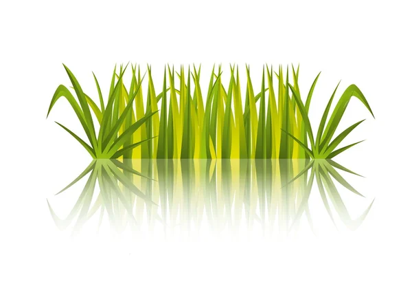 Wektor trawy — Wektor stockowy