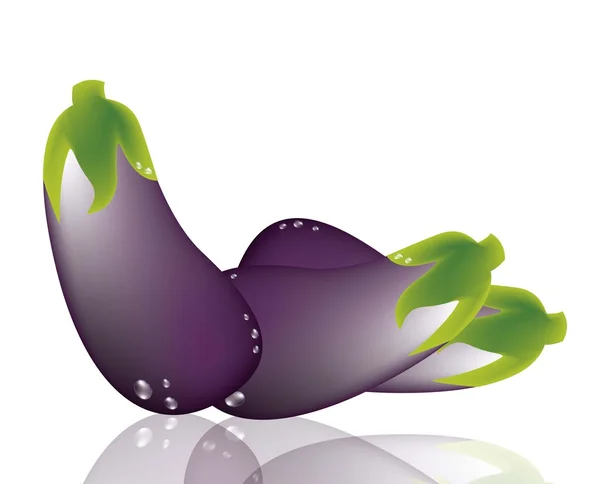 stock vector eggplant