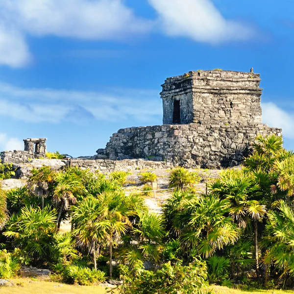 Ruiny Majów tulum Meksyk — Zdjęcie stockowe