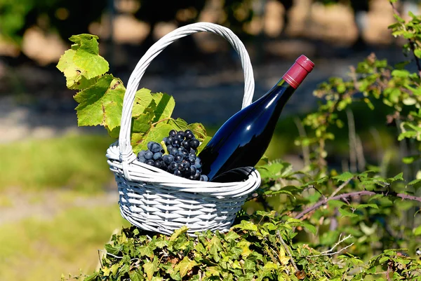 Bottle of red wine in countryside — Stock Photo, Image