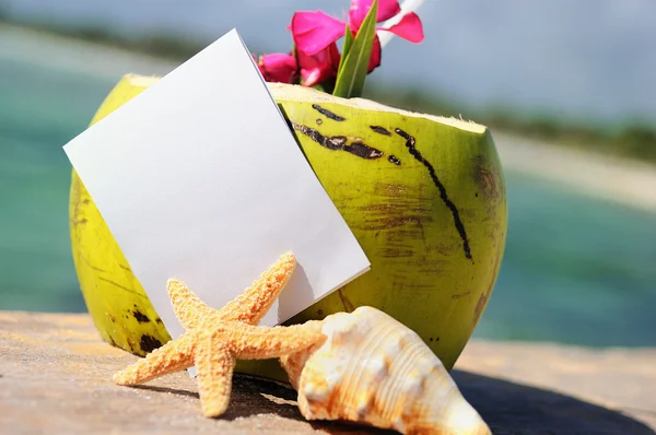 Карибский райский коктейль из кокосов — стоковое фото