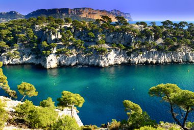 cassis calanque