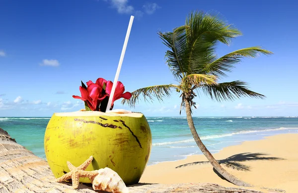 Palmträd i en tropisk strand — Stockfoto
