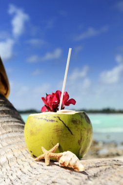 Coconuts on the beach clipart