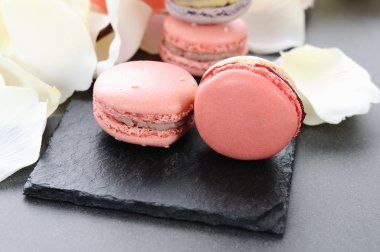 güzel macarons