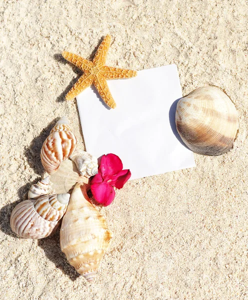Papel en blanco playa arena estrellas de mar conchas verano —  Fotos de Stock