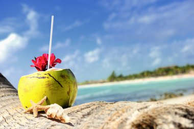 Coconuts on the beach clipart