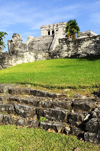 Ruines mayas de Tulum Mexique — Photo