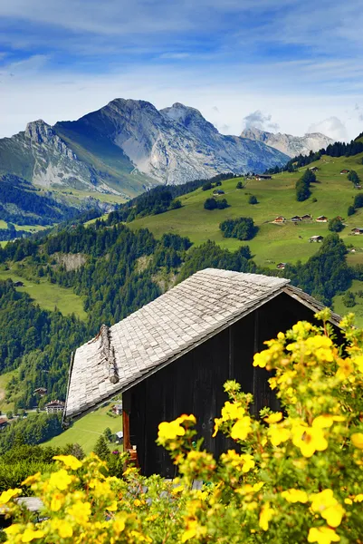 Bir dağ evi güzel bir görünüm — Stok fotoğraf