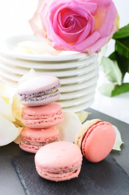 güzel macarons