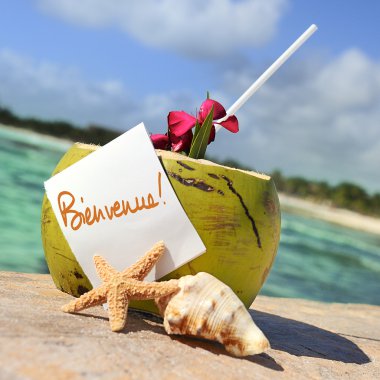 Caribbean paradise beach coconuts cocktail clipart