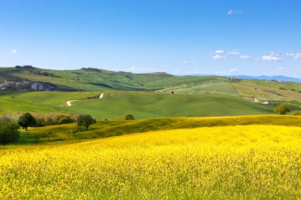 Toscaanse val d'orcia weergave — Stockfoto