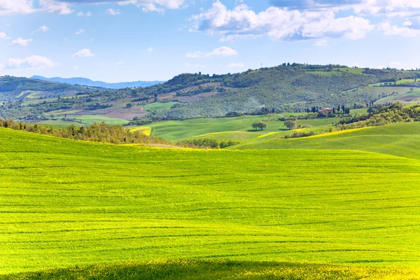 Тосканский ландшафт Валь д "Орча — стоковое фото