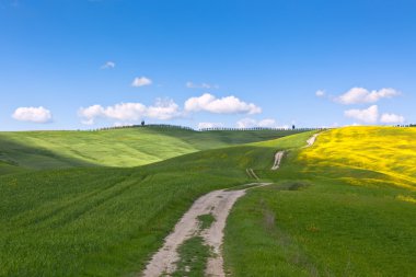 Tuscan val d'orcia arka plan