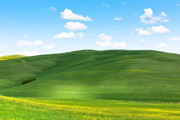 Tuscan Val d'Orcia background — Stock Photo, Image