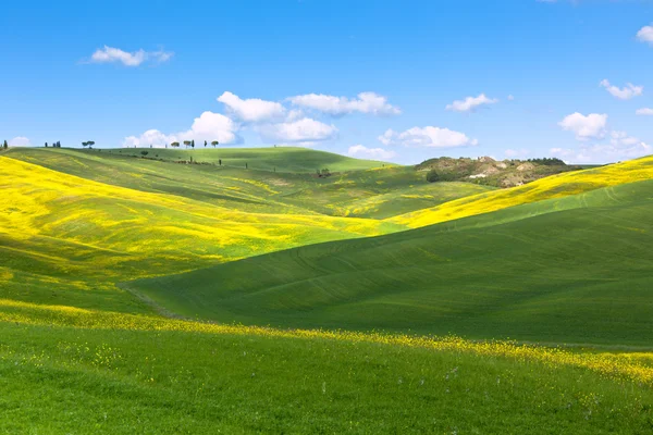 Al aire libre Toscana Val d 'Orcia colinas — Foto de Stock