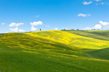 Tuscan Val d'Orcia background clipart