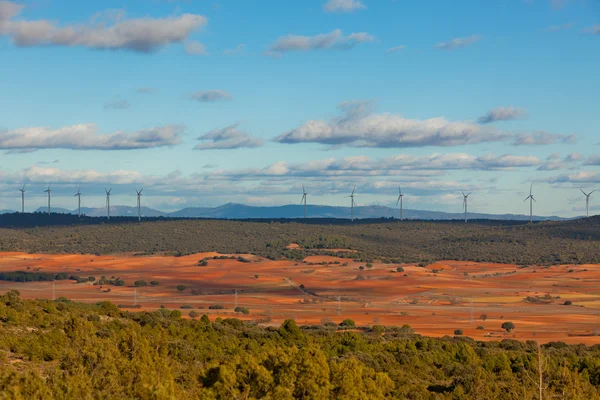 Windiger Tag in Castilla-la Mancha, Spanien — Stockfoto