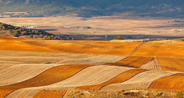 Campos y colinas de invierno España — Foto de Stock