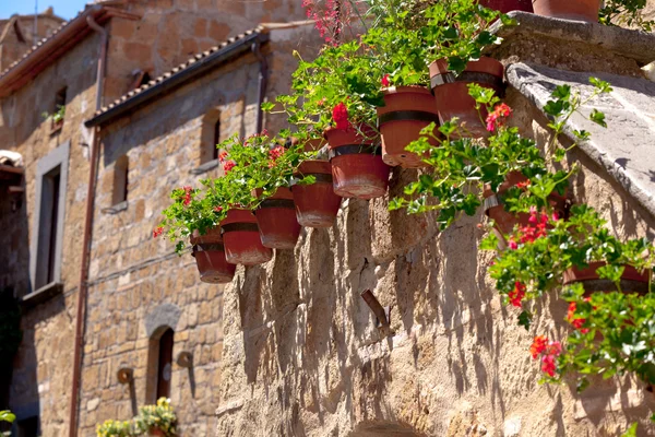 Ljusa blomkrukor på husvägg — Stockfoto