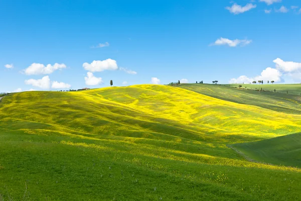 Tuscan Val d'Orcia background — Stock Photo, Image
