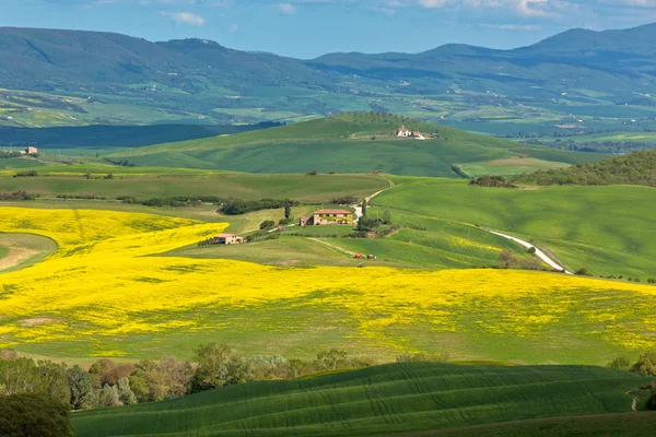 Colline della Valle d'Orcia Toscana — Foto Stock