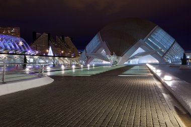 Valencia şehir sanat ve bilim, gece