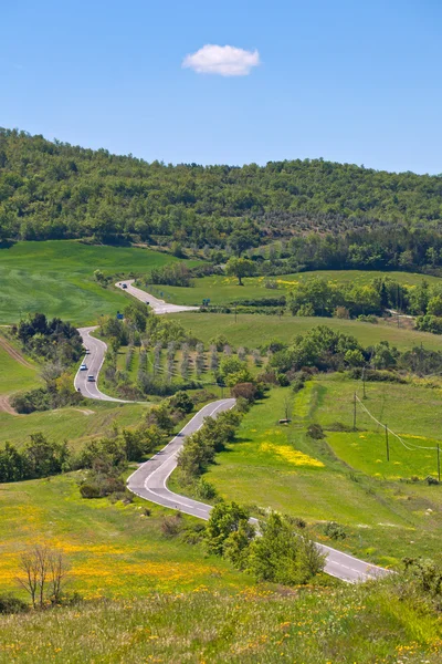 Тосканский вид с местной кривой дороги — стоковое фото