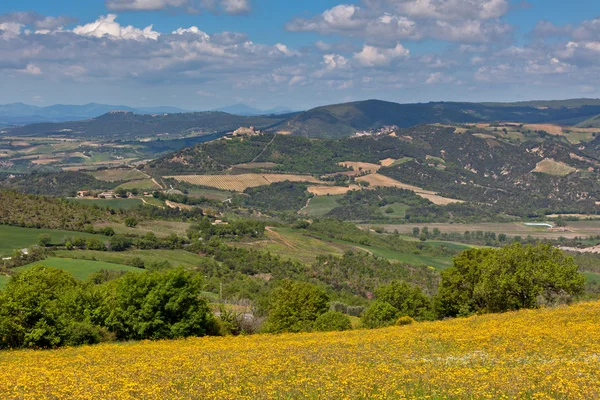 Paysage des collines toscanes — Photo