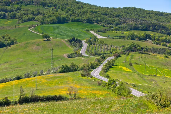 Vista toscana con carretera curva local —  Fotos de Stock