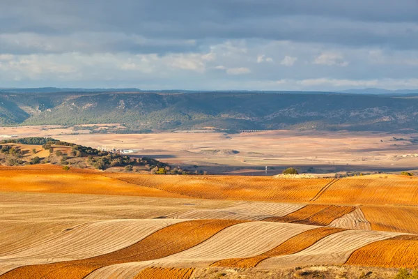 Fields and hills of Spain at winter — Stock Photo, Image