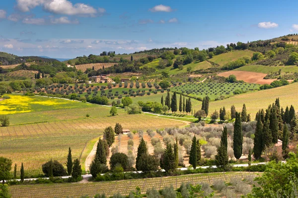 Açık tuscan hills peyzaj