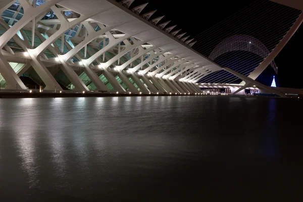 Valencia Ciudad de las Artes y las Ciencias plano nocturno — Foto de Stock