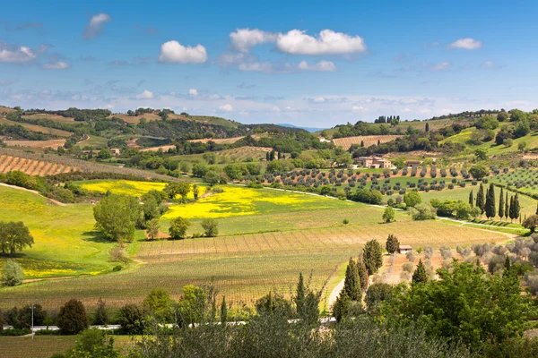 Buiten Toscaanse heuvels landschap — Stockfoto