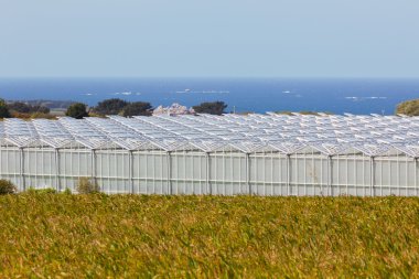 View of an agricultural greenhouses clipart