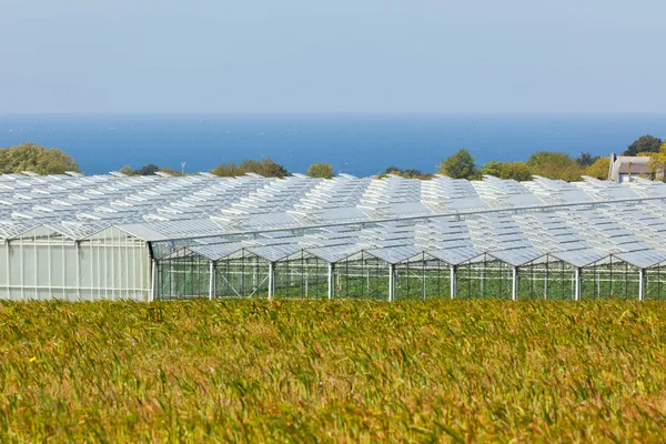 Visa en jordbruks växthus — Stockfoto