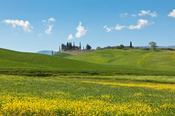 Toskanische Hügellandschaft im Freien — Stockfoto