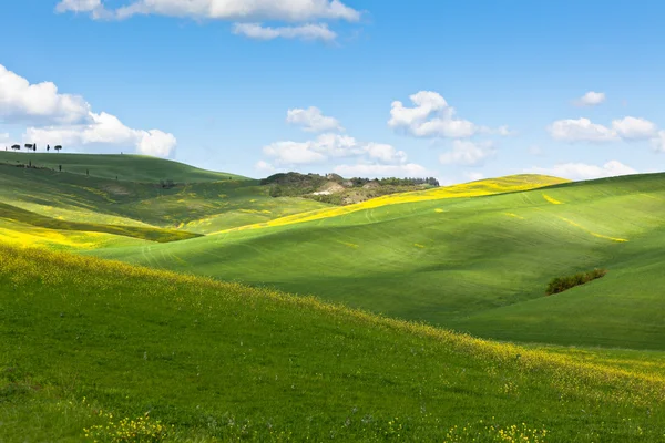 Światło i cienie na wzgórza Toskanii — Zdjęcie stockowe