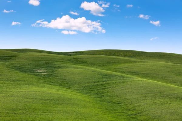 屋外のトスカーナの丘の風景 — ストック写真